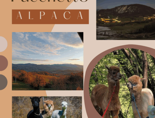 PACCHETTO VACANZE ALPACA TREKKING